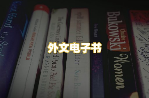 外文电子书